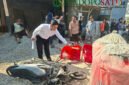 Kondisi gudang penyimpanan bahan bangunan saat Polsek Singosari mendatangi olah TKP (Foto: Diky pendoposatu.id)