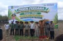 Plt. Bupati Tulungagung, Ahmad Baharudin bersama stakeholder saat panen tebu perdana program bongkar ratoon (Foto: Hanik pendoposatu.id)