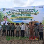 Panen Perdana Tebu Program Bongkar Ratoon Dengan Luas Tanam 4.000 Hektare