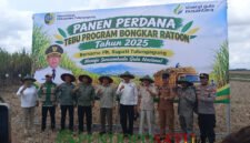 Plt. Bupati Tulungagung, Ahmad Baharudin bersama stakeholder saat panen tebu perdana program bongkar ratoon (Foto: Hanik pendoposatu.id)