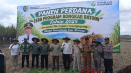 Plt. Bupati Tulungagung, Ahmad Baharudin bersama stakeholder saat panen tebu perdana program bongkar ratoon (Foto: Hanik pendoposatu.id)