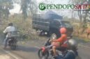 Pohon tumbang di jalan Insinyur Juanda, Kelurahan Kepel, Kecamatan Bugul Kidul kota Pasuruan (Foto: Abdullah pendoposatu.id)