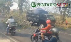 berita-pilihan-foto