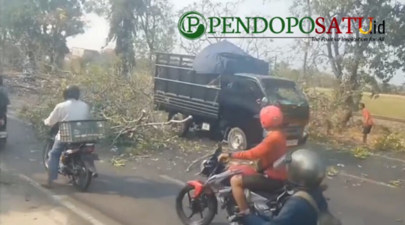 Pohon tumbang di jalan Insinyur Juanda, Kelurahan Kepel, Kecamatan Bugul Kidul kota Pasuruan (Foto: Abdullah pendoposatu.id)
