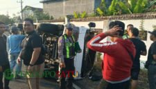 Laka tunggal yang terjadi di jalan provinsi wilayah kecamatan Muncar kabupaten Banyuwangi (Foto: Boby pendoposatu.id)