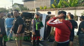 Laka tunggal yang terjadi di jalan provinsi wilayah kecamatan Muncar kabupaten Banyuwangi (Foto: Boby pendoposatu.id)