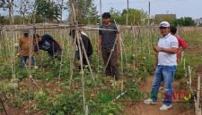 Pembina riset pupuk organik SULAMI, Kaji Johan (baju putih), bersama kelompok tani dan Komunitas Farm Forward mahasiswa UB meninjau lahan pertanian di Kota Malang, (Foto: Agus S pendoposatu.id)