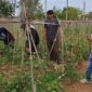 Pembina riset pupuk organik SULAMI, Kaji Johan (baju putih), bersama kelompok tani dan Komunitas Farm Forward mahasiswa UB meninjau lahan pertanian di Kota Malang, (Foto: Agus S pendoposatu.id)